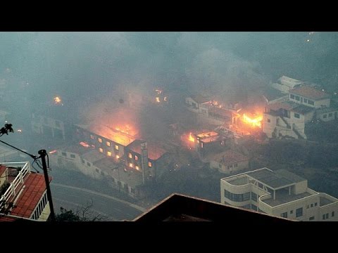 شاهد إجلاء 400 شخص جراء حرائق الغابات في جزيرة ماديرا البرتغالية