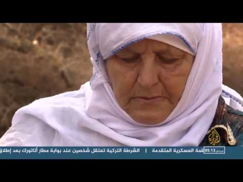 قطاف الزيتون في فلسطين احتفاء بالتاريخ