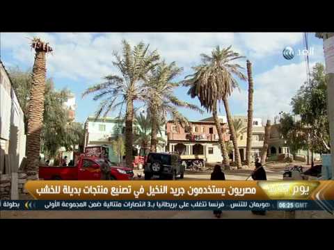 مصريون يستخدمون جريد النخيل