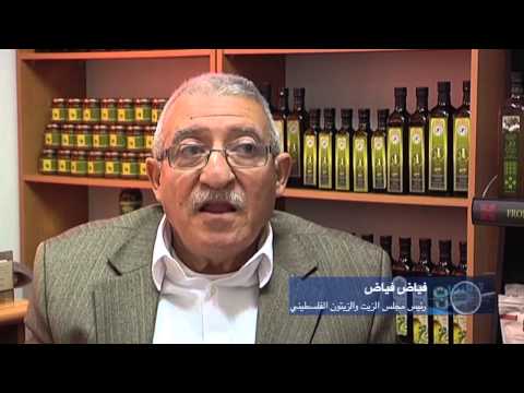 خسائر بـملايين الشواقل تلحق بالذهب الأخضر