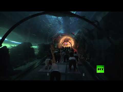 يوغا تحت الماء في دبي مول التجاري العملاق