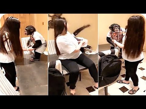 روان بن حسين تطلب قبلة من القرد والنتيجة مؤلمة