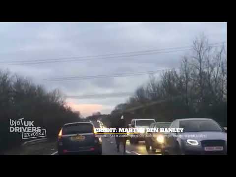 سيارة تبطئ حركة سير طريق سريع بحصان يتبعها