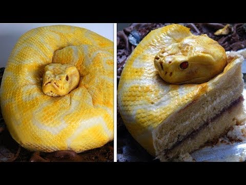 أغرب 10 كيكات لن تُصدّق أنها موجودة فعلًا