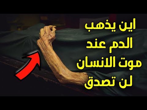 تعرف أين يذهب الدم عند موت الإنسان