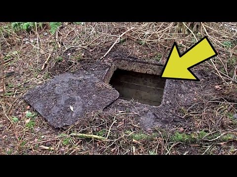 شخص يبحث في الغابة عن الكنوز