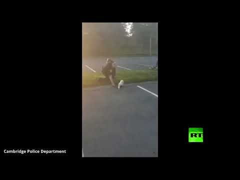 شرطي أميركي يُساعد ظربانًا عالقًا ويتلقى عقابا