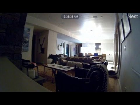 دب جائع يتسلل إلى منزل في كاليفورنيا ويفتح الثلاجة