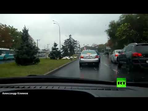 شاهد سرب من الأوز يتسبب بأزمة سير في مدينة كراسنودار جنوب