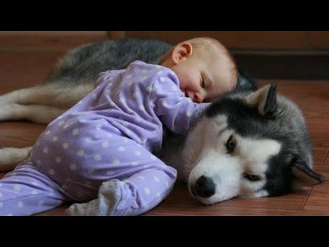 أطفال ربتهم حيوانات بعد اختفاء عائلتهم