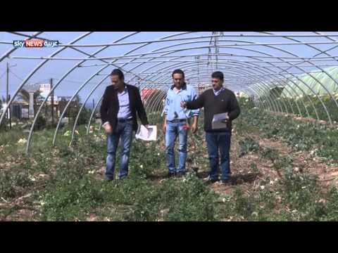 خسائر فادحة للقطاع الزراعي في لبنان