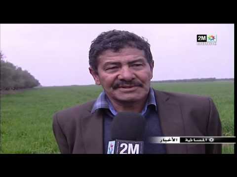 تادلة أزلال والموسم الزراعي