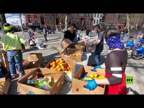 شاهد بنك الطعام يوزع الأغذية على المحتاجين في نيويورك