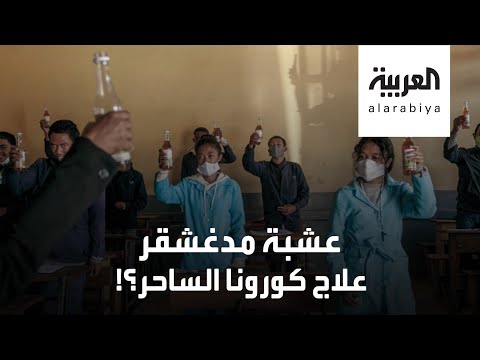 عشبة مدغشقر علاج كورونا الساحر