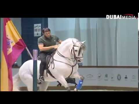 حمدان بن راشد يفتتح بطولة دبي الدولية للجواد العالمي