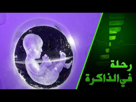خبير روسي يوضح حالات الخلل في تطور الجهاز العصبي للجننين