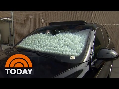 مذيع أمريكي ينفذ مقلبا في زميلته