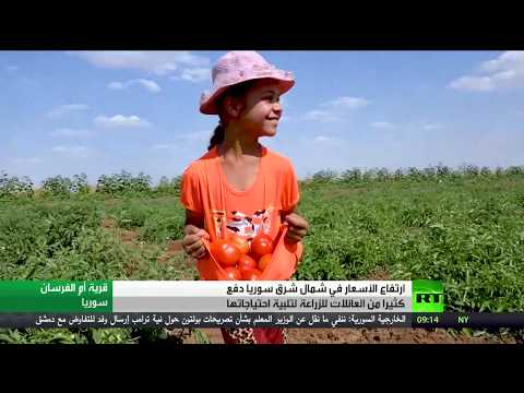 شاهد سكان شمال شرق سورية يلجأون إلى الزراعة لتأمين احتياجاتهم الغذائية