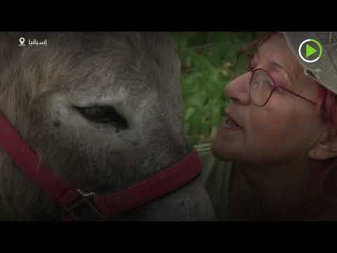 انطلاق مشروع الدكتور الحمار لمساعدة الأطباء في إسبانيا