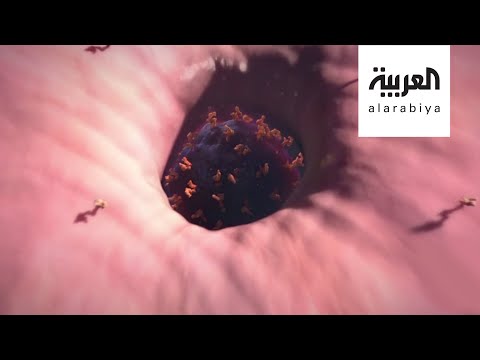 دراسة خطيرة عن كورونا تكشف أن سلالته الحالية أكثر عدوانية وعدوى