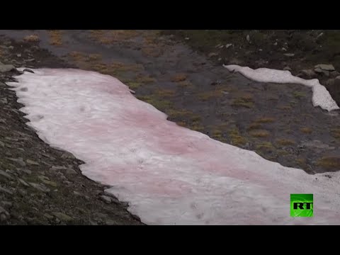 شاهد ظهور غامض لجليد وردي في جبال الألب