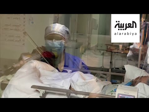 رفض طلب هيفاء وهبي بوقف فيلمها الجديد وممرضة تعزف لمرضاها