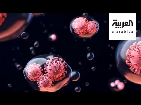 239باحثاً من 32 دولة يكشفون كلمة السر في تفشي وباء كورونا