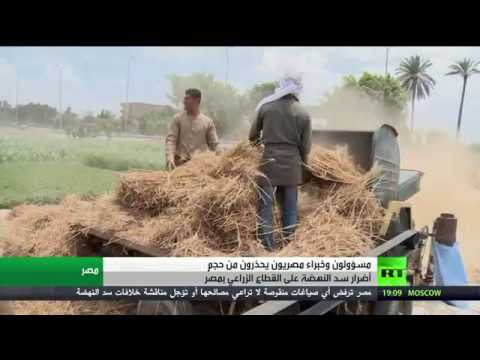 خبراء يكشفون عن حجم الأضرار مع بدء ملء وتشغيل سد النهضة الإثيوبي