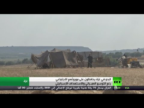 القبائل العربية في غزة يتحولون إلى هدف سهل للقوات الإسرائيلية