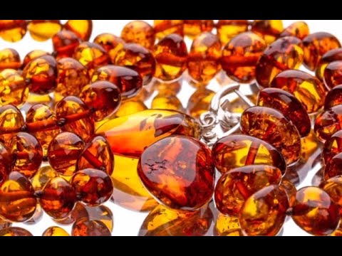 علماء يلجأون إلى حجر الشمس لاستنساخ الديناصورات