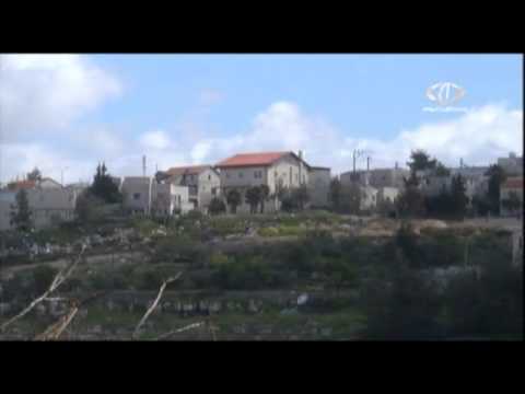 فيديو آليات الاحتلال تبدأ بعمليات تجريف لتوسعة مستوطنة بيت إيل