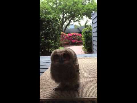 صدمة أميركية عقب فتح باب منزلها