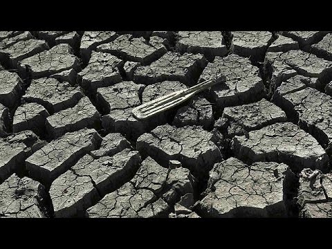 فيورينا تُحمل المدافعين عن البيئة مسؤولية الجفاف في كاليفورنيا