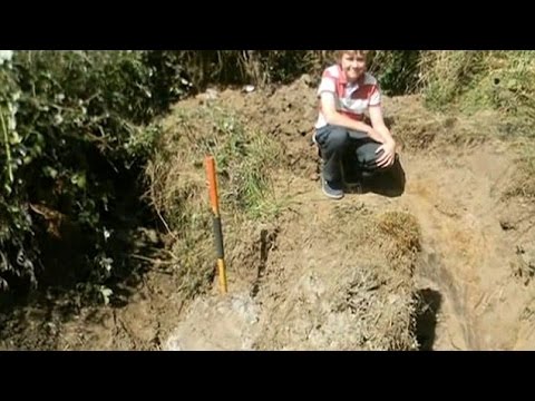 طفل أسترالي يعثر على أكبر عش دبابير في العالم