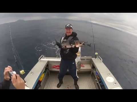 شاهد ماذا حدث لصياد حاول التقاط سيلفي مع سمكة تونة