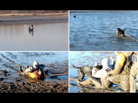 بالفيديو ماذا فعل الكلب لإنقاذ صاحبه