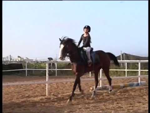 هلا بطرواي من غزة تسعى لدخول غينيس