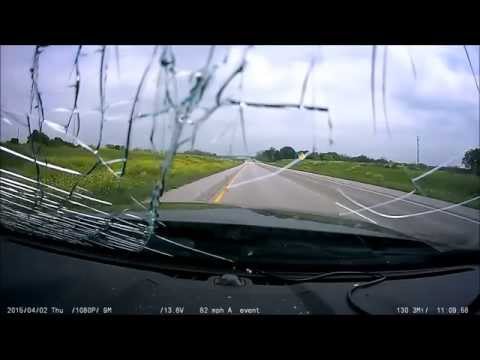 فيديو ديك رومي يلقي بنفسه أمام سيارة