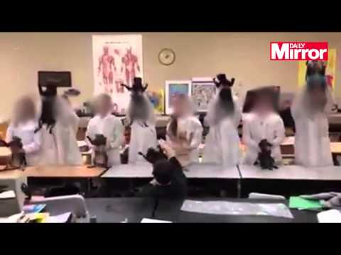 بالفيديو طلاب التشريح يرقصون بالقطط الميتة