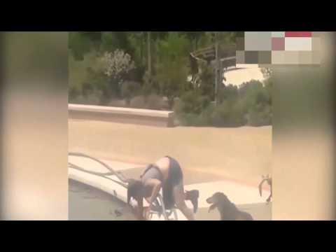 رجل يقيد امرأة بشكل مهين في شوارع نيويورك