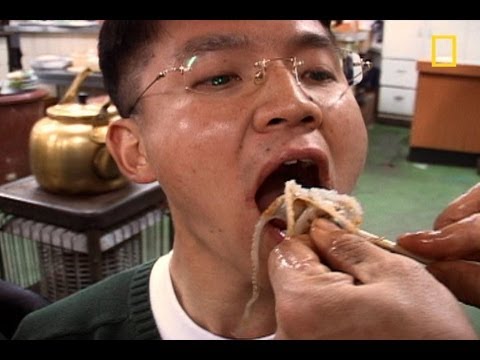 وجبة الأخطبوط «الحى» أشهى المأكولات الكورية
