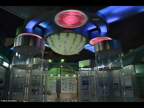 أول متحف للبطيخ ينظم في أراضي الصين