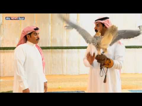 هواة تربية الصقور يلجأون لـالمرابط في السعودية