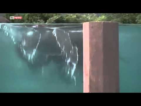 شاهد حمام سباحة مخصص للفيلة في اليابان