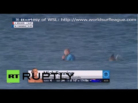 بالفيديو قرش يهاجم بطل العالم لركوب الأمواج
