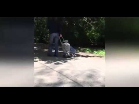 لقطات صادمة لسحب طفلة مثل الكلب في روسيا