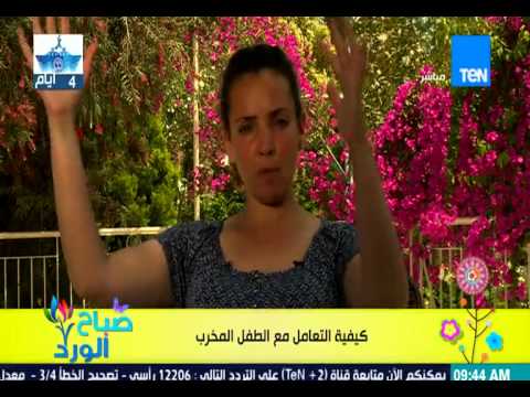 أفضل الطرق للتعامل مع الطفل المخرب