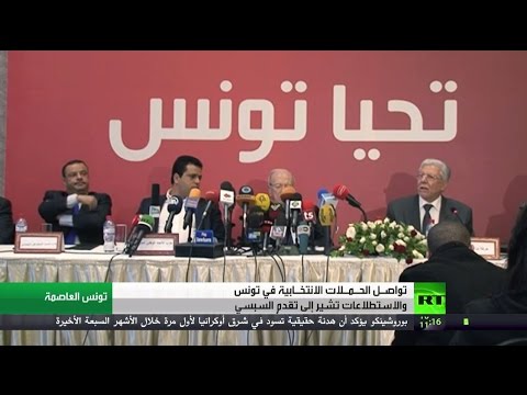 السيسي يؤكد أنَّ نداء تونس لن يستأثر بالحكم