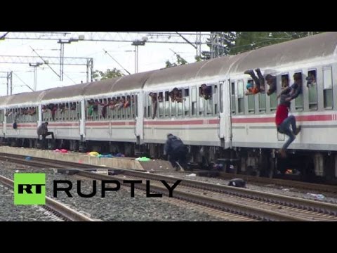 لاجئون يقتحمون قطارًا على الحدود الكرواتية الصربية