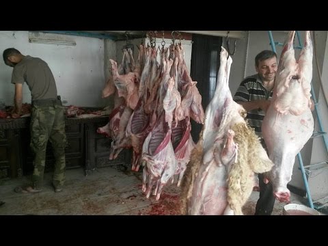 فريق تطوعي يحي فرحة العيد بين فقراء الغوطة